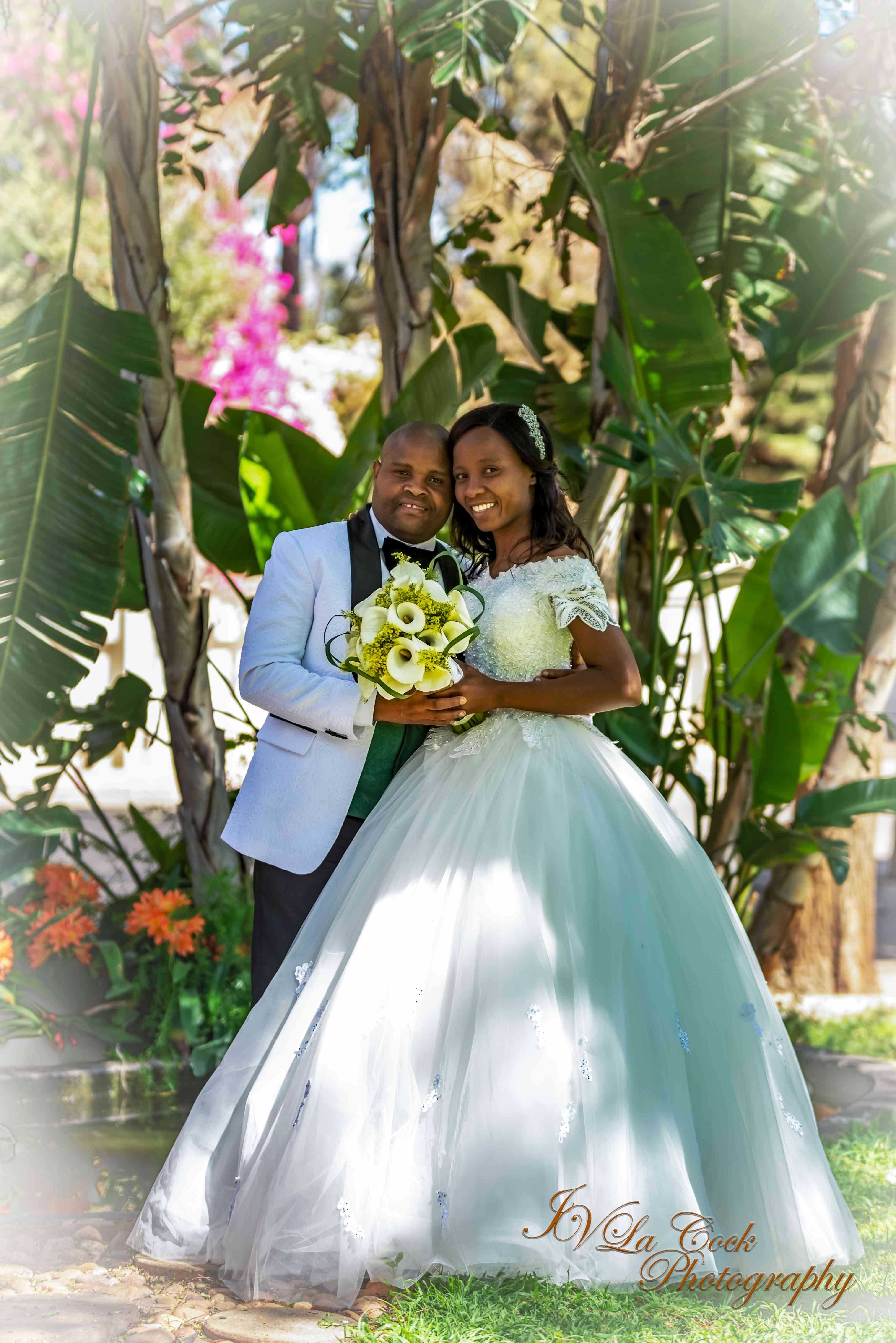 DSC_9770-Edit copy - Copy